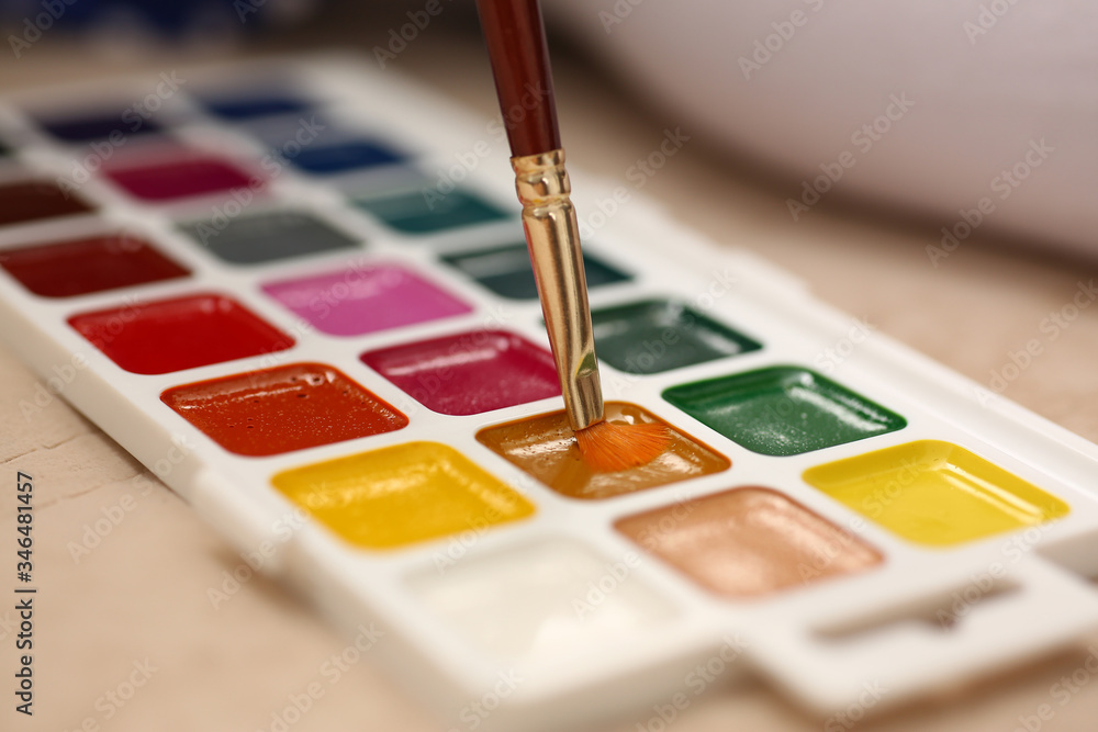 Brush point in watercolor paint closeup