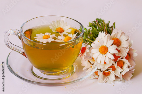 Chamomile flowers and chamomile tea in cup