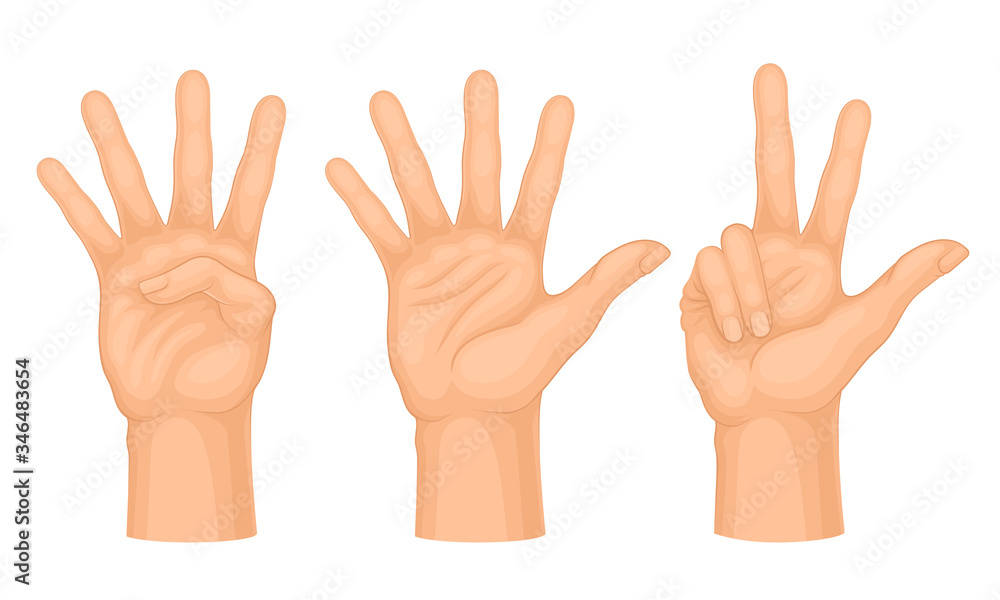 Hands Making Different Gestures and Signs Isolated on White Background Vector Set Hands Making Different Gestures and Signs Isolated on White Background Vector Set