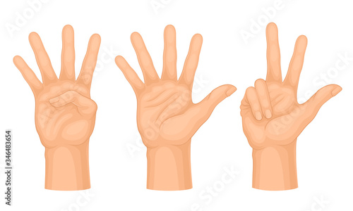 Hands Making Different Gestures and Signs Isolated on White Background Vector Set