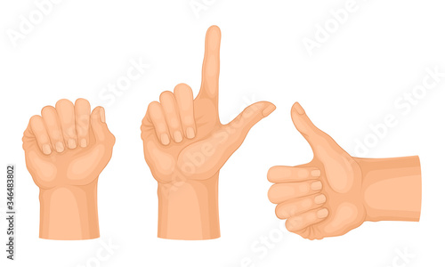 Hands Making Different Gestures and Signs Isolated on White Background Vector Set