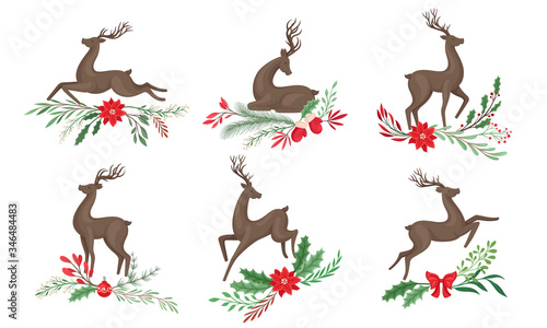 Brown Deer with Antlers and Winter Twigs and Flower Composition Beneath It Vector Set