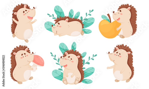 Cartoon Hedgehog Character Holding Apple and Mushroom Vector Set