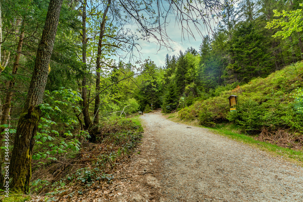 Fototapeta premium Wandern, Wanderwege im Bayerischen Wald bei Bodenmais | Rißloch Urlaub