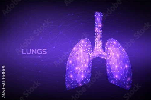 Lungs. Low polygonal human respiratory system lungs anatomy. Treatment of lung diseases. Medicine cure tuberculosis, pneumonia, asthma. Abstract health care medical concept. Vector illustration.