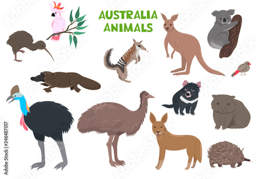 Set of Australia animals isolated on a white background. Vector graphics.