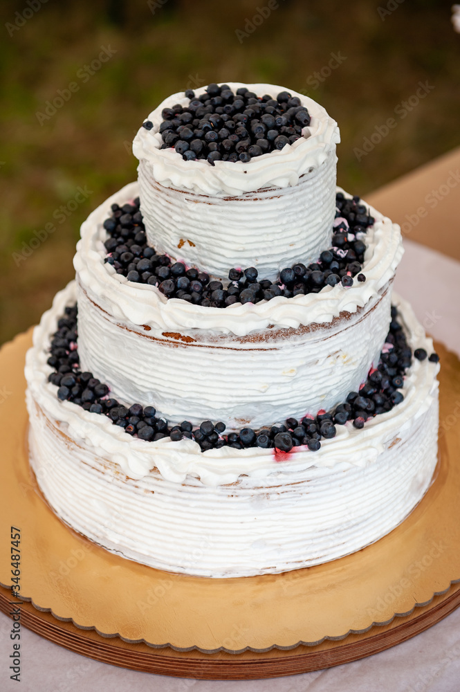 Homemade blueberry naked wedding cake on wooden plate. Home made cake with cream and berry curd. Home made birthday cake on wooden cut.