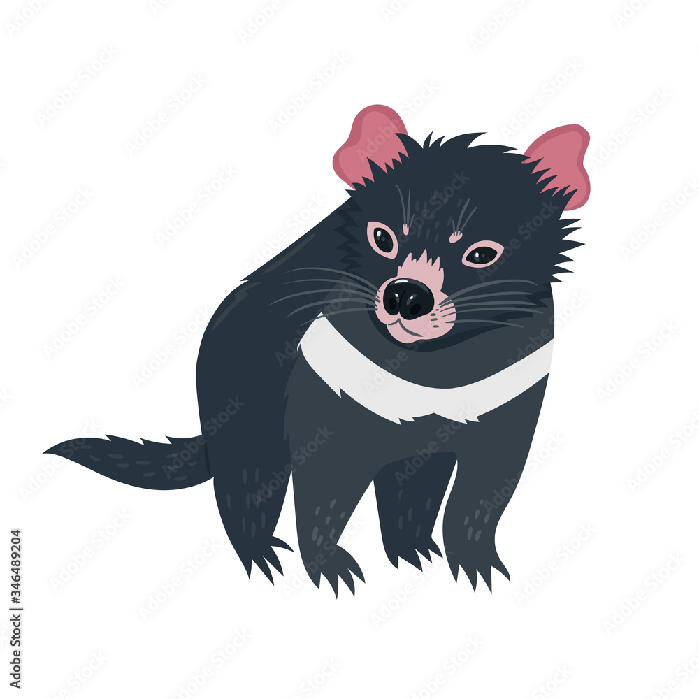 Tasmanian devil isolated on white background. Vector graphics. Stock ...