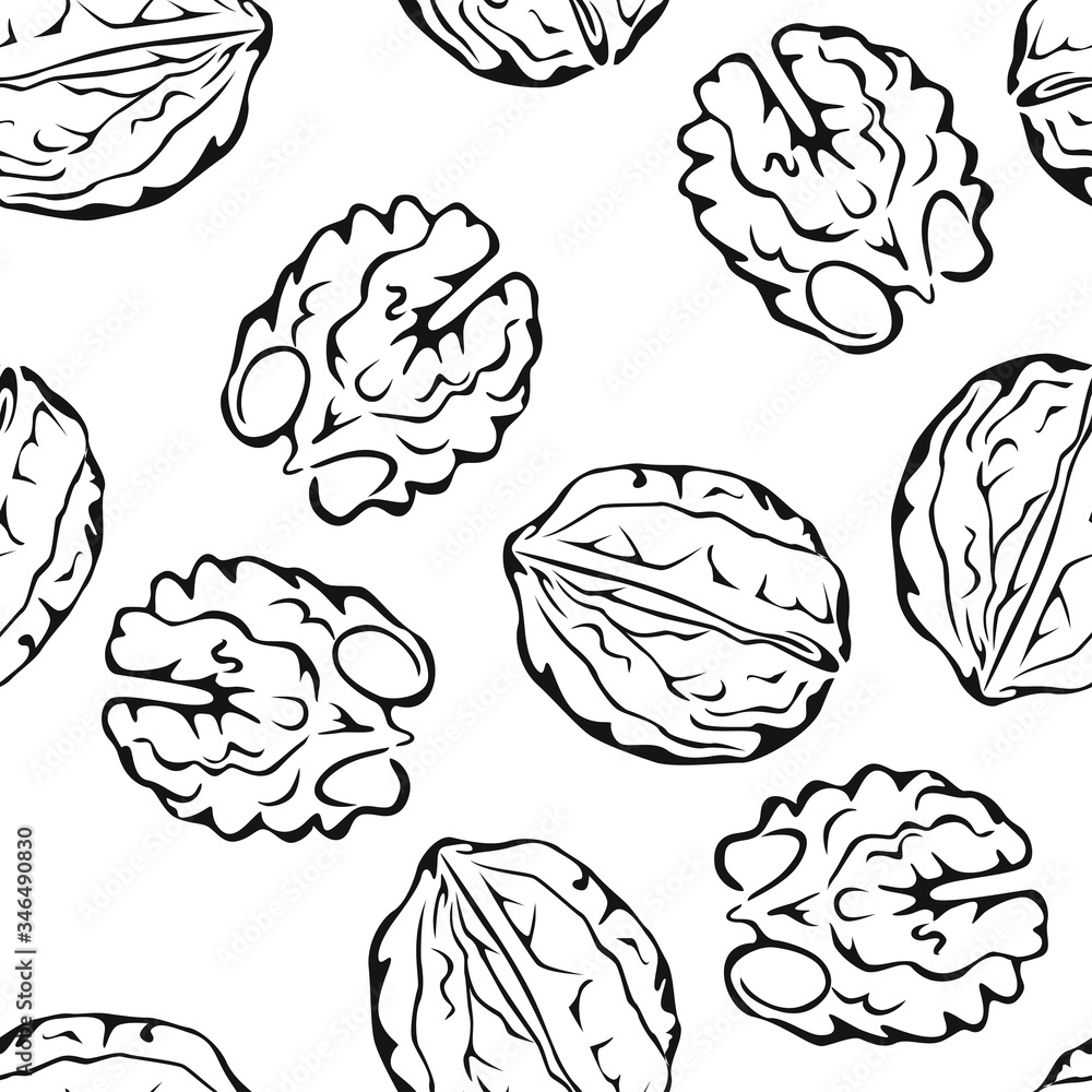 Walnut seamless pattern. Black-white outline illustration. Vector monochrome silhouettes of nuts. Food simple background. Walnut seamless pattern. Black-white outline illustration. Vector monochrome silhouettes of nuts. Food simple background.