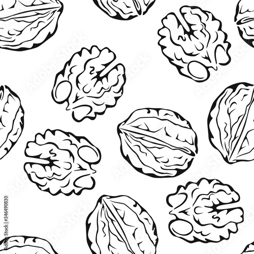 Walnut seamless pattern. Black-white outline illustration. Vector monochrome silhouettes of nuts. Food  simple background.