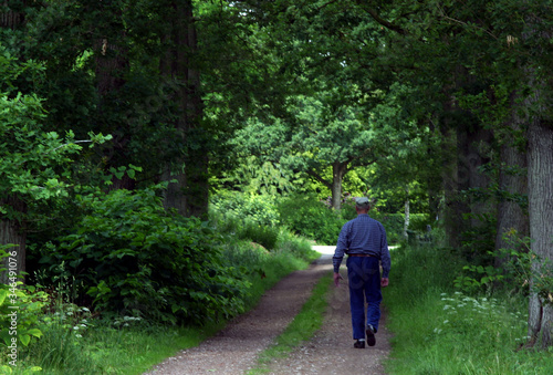 Forest. Boschoord. Maatschappij van Weldadigheid Frederiksoord Drenthe Netherlands. Forest lane with man walking