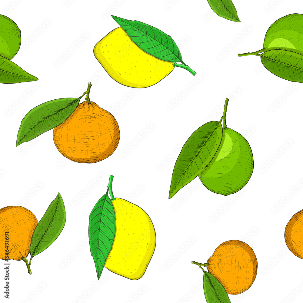 Citrus fruits - orange, lime, lemon tangrine. Seamless pattern Citrus fruits - orange, lime, lemon tangrine. Seamless pattern
