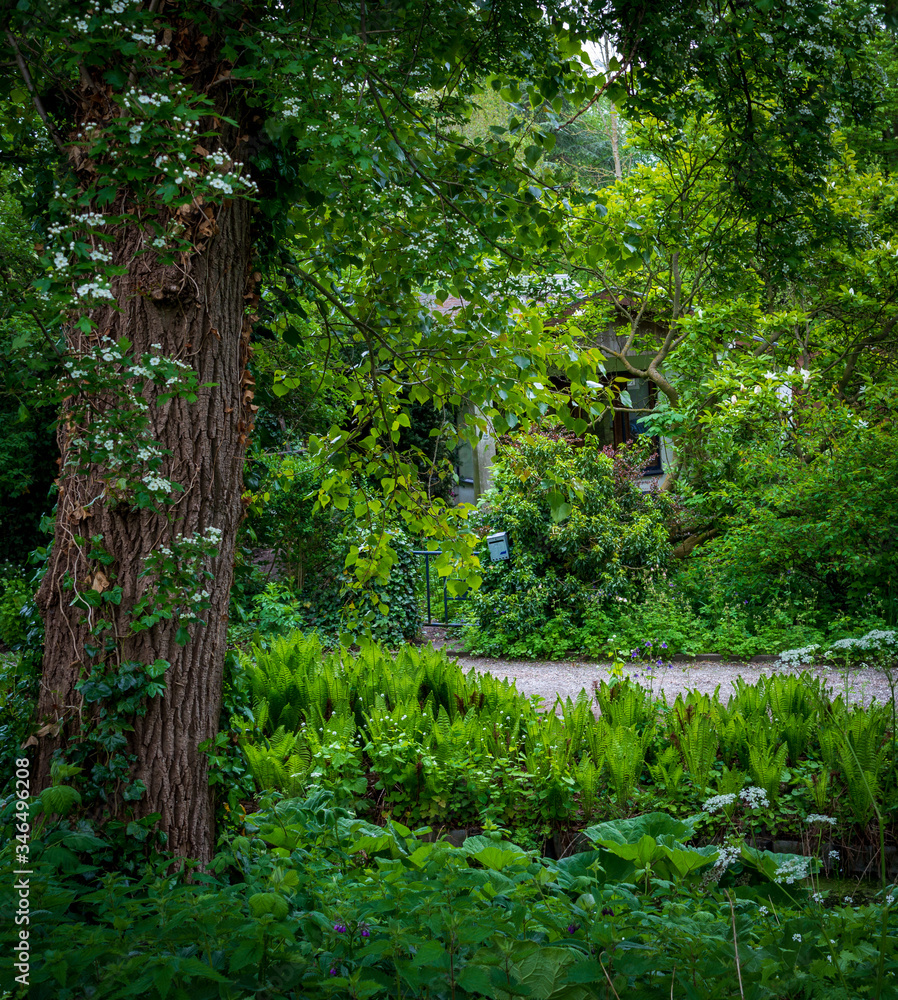 Obraz premium Little house with tiny mailbox hidden in the woods