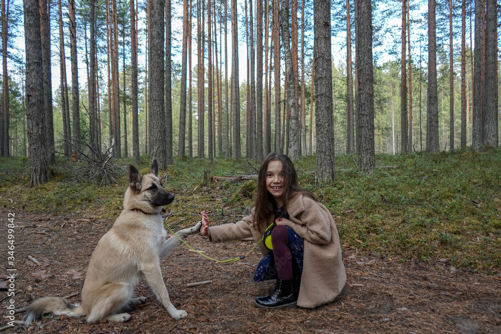 
little girl in the forest sits with her dog