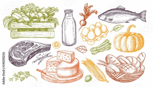 Set of illustrations of farm products. Natural products: meat, cheese, bread, milk, eggs, fish, vegetables. Design for the menu of shops and cafes.