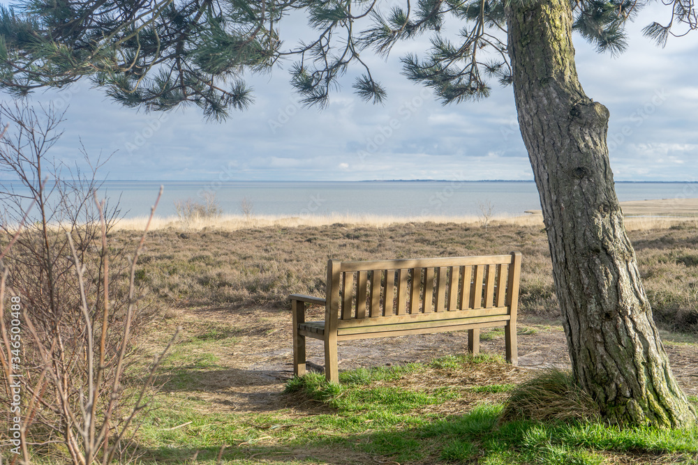 Wooden bench under a pine tree on the mud flat on the island of Sylt Wooden bench under a pine tree on the mud flat on the island of Sylt