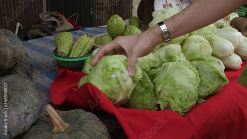 Woman choosing and buying organic vegetables (iceberg lettuce) from local farmer – Hmong hill people, hill tribe at Mon Jam, Mae Rim District, Chiang Mai, Thailand. photo