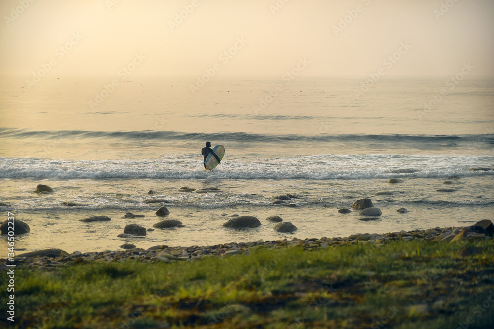 Close-up Surfer silhouette with short surfboard going to the water at sunset with rock and grass background