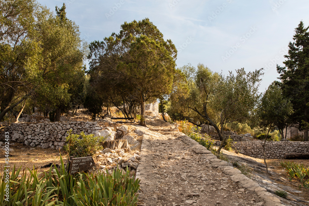 Surrounding view of the walking tour of the small island of Saint Mary the 12th century benedictine monastery at Mljet and the National Park calm peaceful nature with greenery pine trees and a path