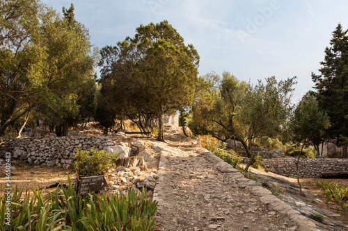 Surrounding view of the walking tour of the small island of Saint Mary the 12th century benedictine monastery at Mljet and the National Park calm peaceful nature with greenery pine trees and a path photo