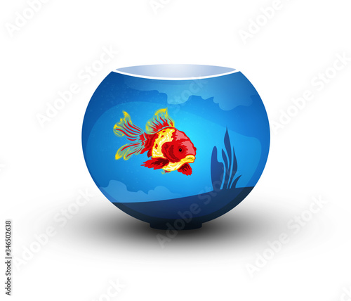 Exotic beautiful bright fish in an aquarium