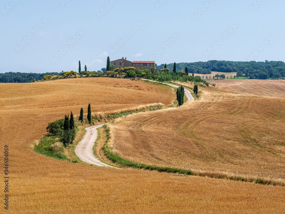 Farmhouse surrounded by a wheat crop on a hill in the Tuscany landscape. Panoramic view of a summer day in the classic Italian rural landscape. paved access road