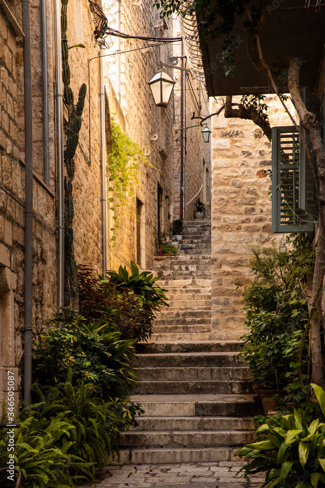 Hvar town idyllic narrow old street with stone houses and steps. Hvar Island in Dalmatia, Croatia Europe. Mediterranean venetian old town with beautiful medieval streets and plants standing outside