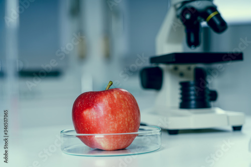 Red Apple to selection in Microbiological laboratory.Chemical Laboratory of the Food supply.Food in laboratory.GMO Genetically modified food in lab