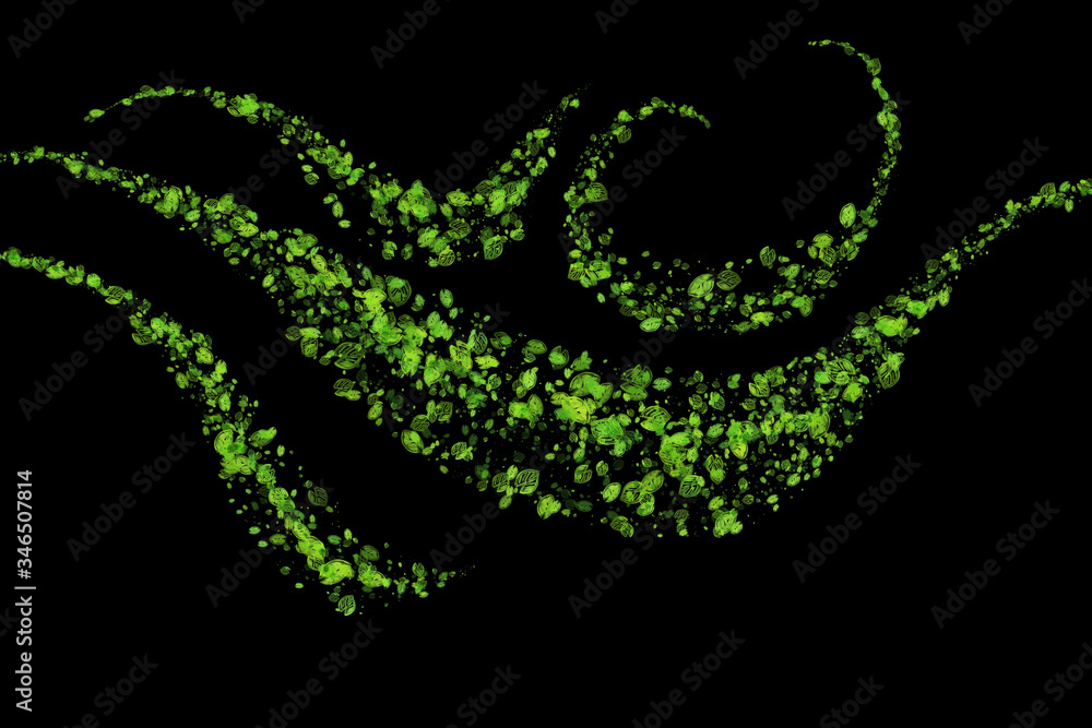 abstract Eco fresh green field wavy lines cloud made of drawing leaves isolated on black background. Spring healthy illustration overlay abstract Eco fresh green field wavy lines cloud made of drawing leaves isolated on black background. Spring healthy illustration overlay
