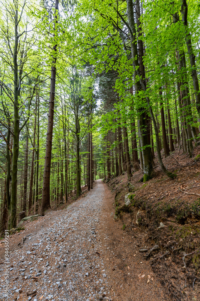 Wandern, Wanderwege im Bayerischen Wald bei Bodenmais | Rißloch Urlaub Wandern, Wanderwege im Bayerischen Wald bei Bodenmais | Rißloch Urlaub