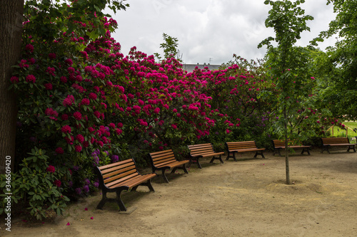 Fototapeta Naklejka Na Ścianę i Meble -  Botanic garden of Nantes in Loire valley (France)