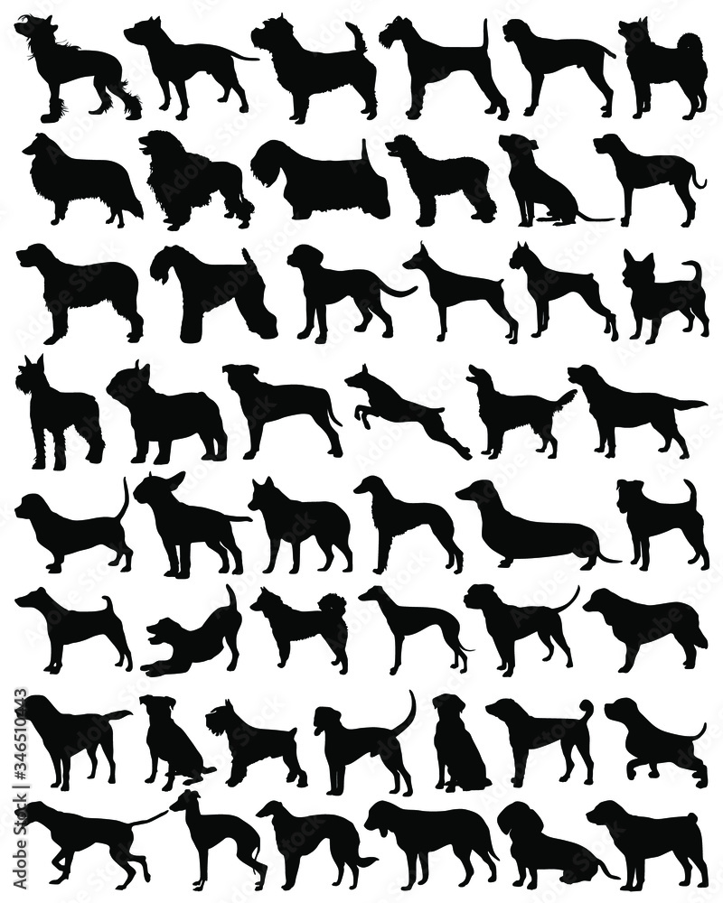 Collection silhouettes of dog. Vector collection of dog silhouettes. Dog silhouette set. Vector illustration.