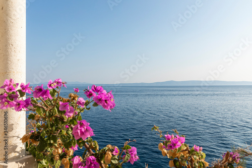 View from the peninsula on a sunny day in summer. Beautiful nature, greenery, pink flowers and the clear blue sea water at the Mediterranean coast at Makarska, Dalmatia, Croatia. Limestone pillar