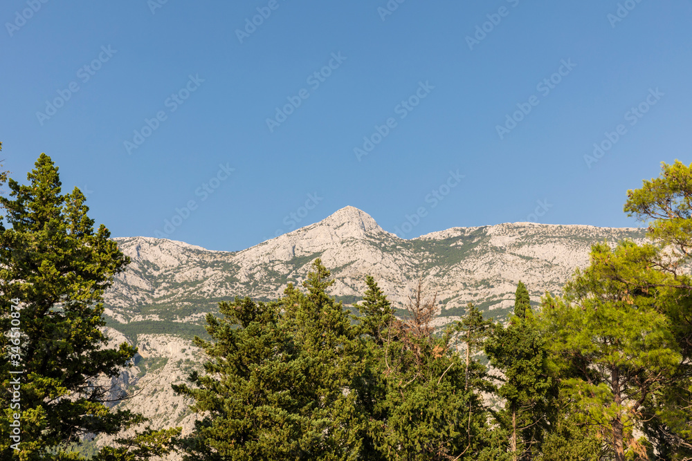 Makarska in Dalmatia, Croatia. View from the peninsula on a sunny day in summer and a blue sky. Rough nature, greenery, trees and rocks and the famous Biokovo mountain at the Mediterranean coast