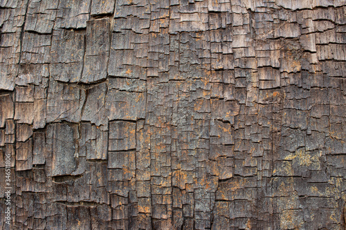 Close up of old ancient cracked wood texture, can be used as Background or Wallpaper