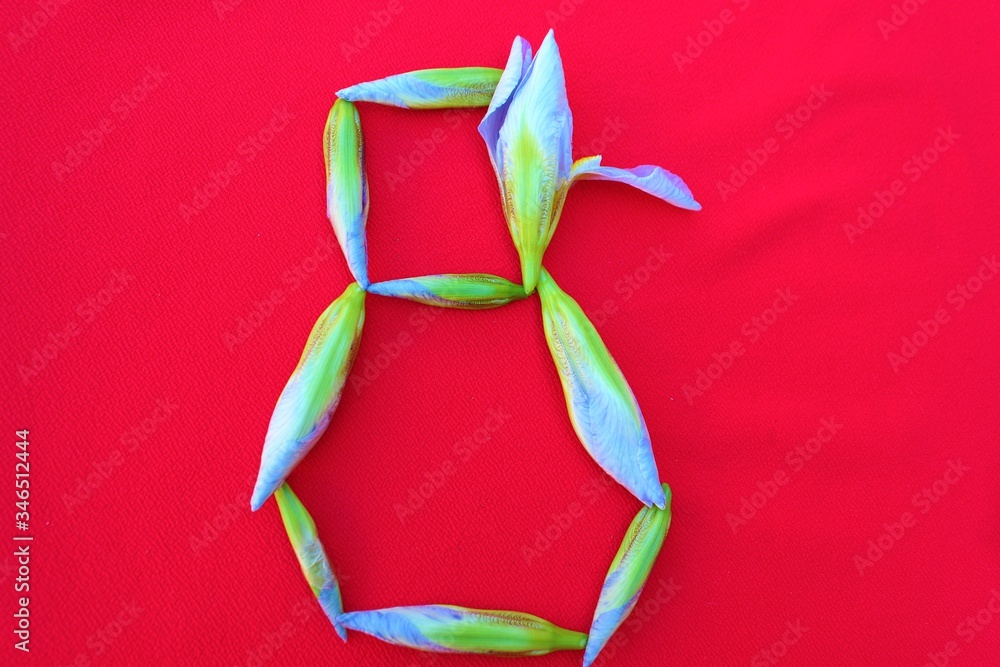 Number 8 written by fresh iris flowers on a red background. Number eight written in fresh flowers isolated on red.