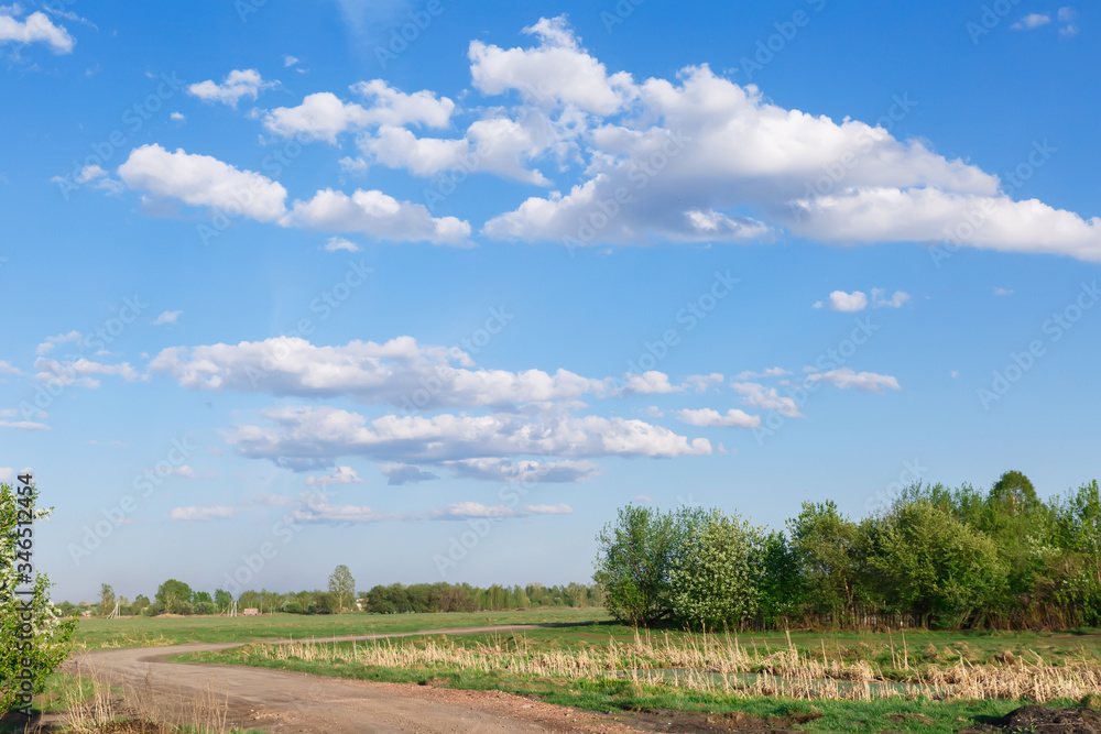 Daytime landscape of a field with a blue sky