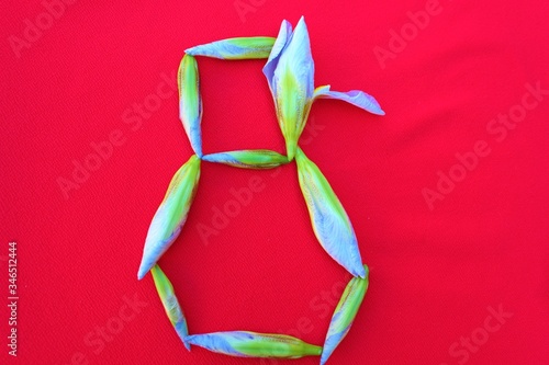 Number 8 written by fresh iris flowers on a red background. Number eight written in fresh flowers isolated on red. 