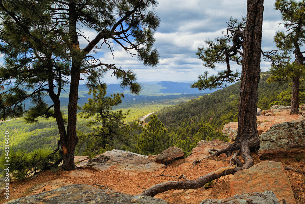 Pine tree in the mountains, the road through the forrest, from above. Cloudy day landscape, Mogollon Rim, Payson, Arizona