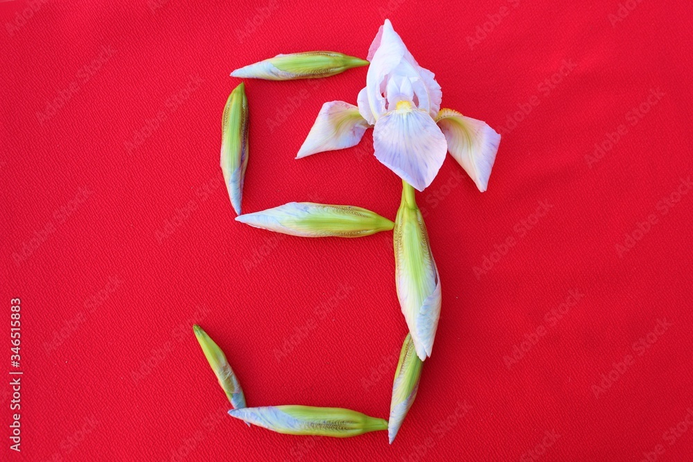 Number 9 written by fresh iris flowers on a red background. Number nine written in fresh flowers isolated on red.