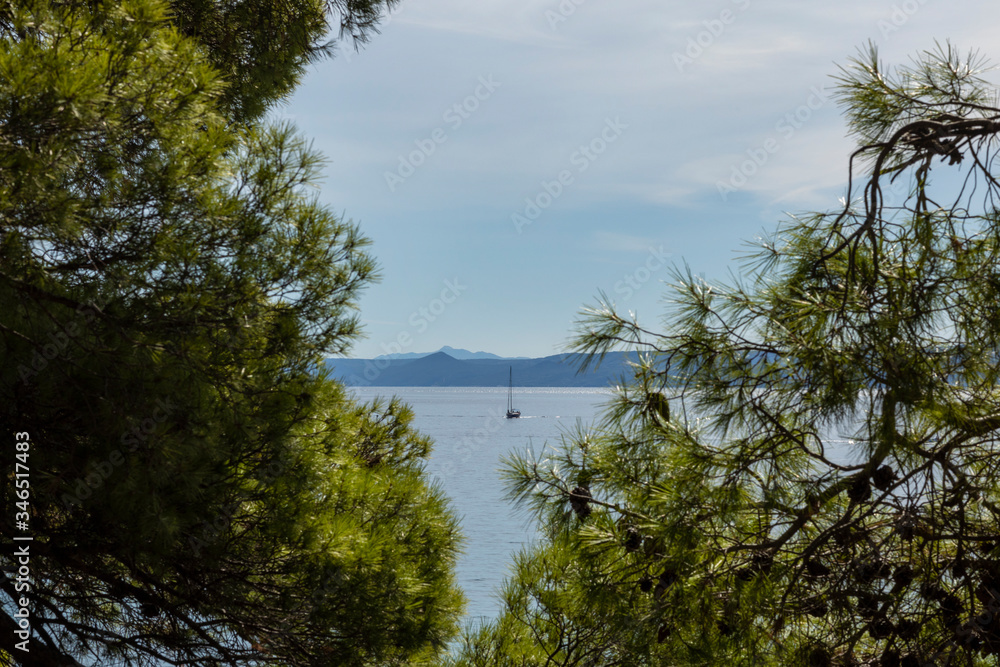 A beautiful lightblue colored sky and the clear Adriatic sea with a boat surrounded by pine trees, pines and greenery on a sunny day in summer in Dalmatia, Croatia