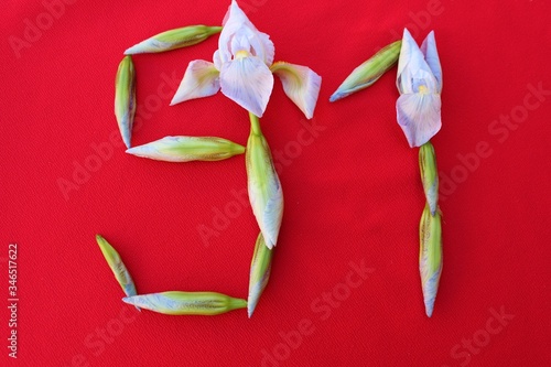 Number 91 written by fresh iris flowers on a red background. Number ninety one written in fresh flowers isolated on red. 
