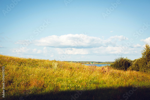 Beautiful Sunny yellow field and trees.