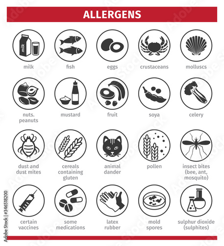 Major allergens. What causes allergies. Template for use in medical agitation. Triggers for the development of bronchial asthma. Vector illustration, flat icons.