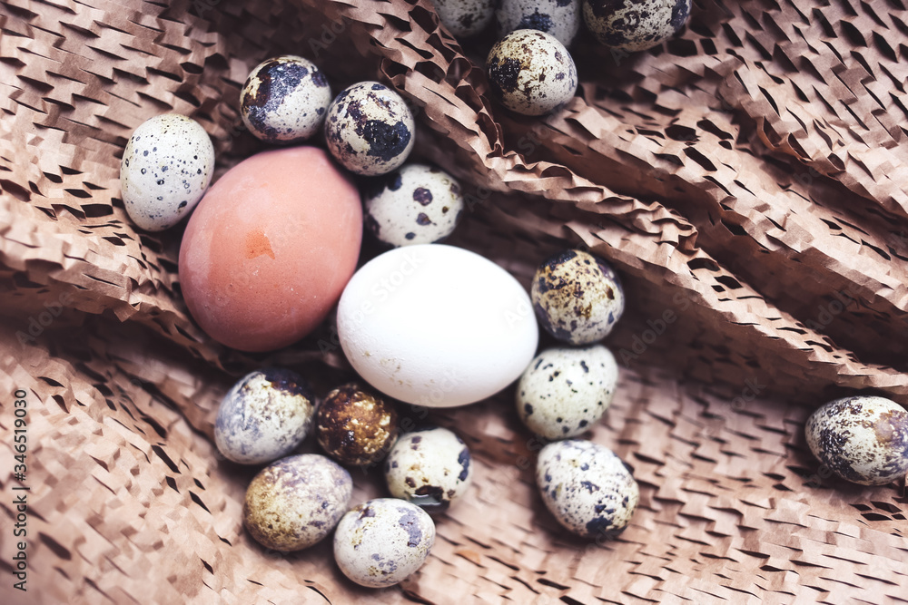 Obraz premium chicken and quail eggs in a nest on brown background, family concept, selective focus