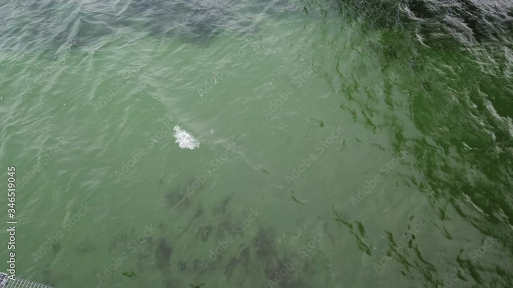 Water Over View Above view of green water surface with waves and reflection of sun, 4k ...