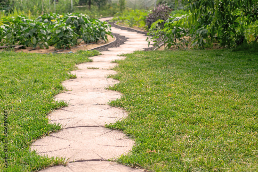 Garden stone path with grass growing up between the stones Garden stone path with grass growing up between the stones