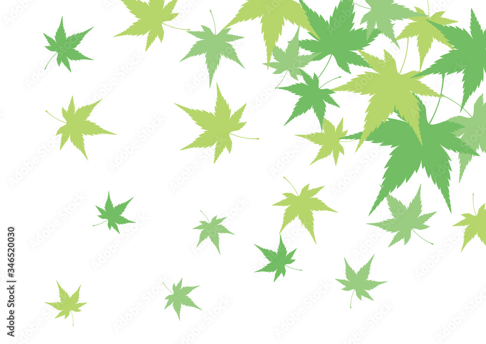 青紅葉 和柄 背景 青紅葉 和柄 背景