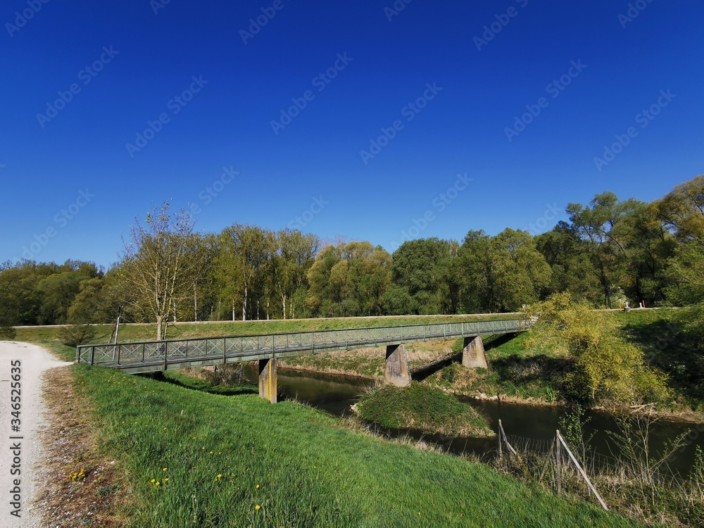 Blumen; Feld; Raps; HImmel; Landschaft; Landwirtschaft; 