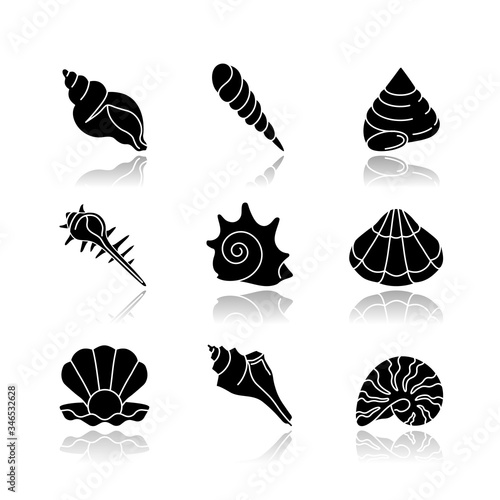 Sea shells drop shadow black glyph icons set. Various molluscan shells, conchology Aquatic souvenirs, seashells collection. Various cockleshell isolated vector illustrations on white space